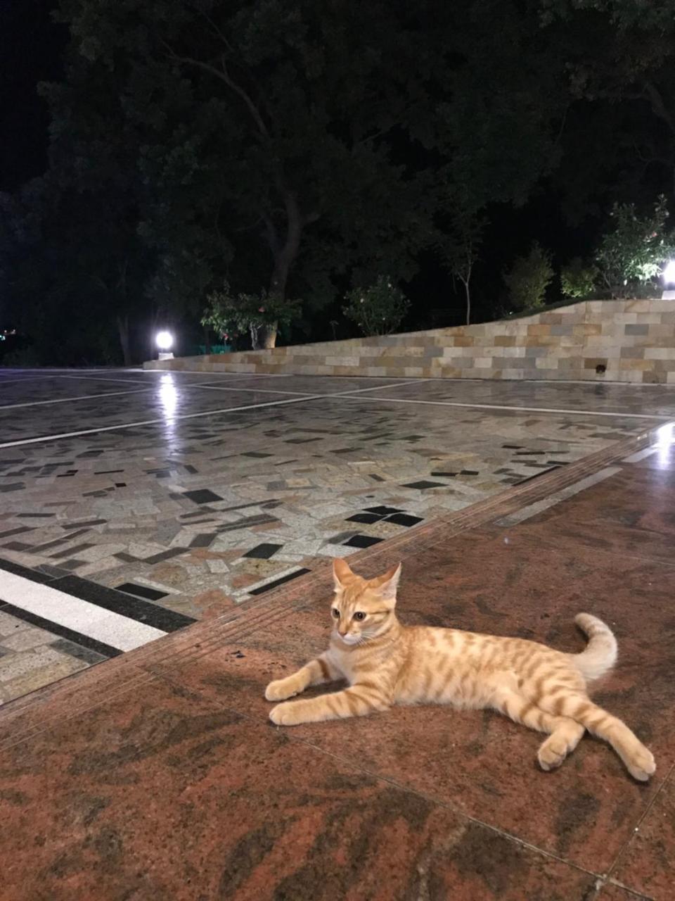 Yuli Sun Homestay Εξωτερικό φωτογραφία