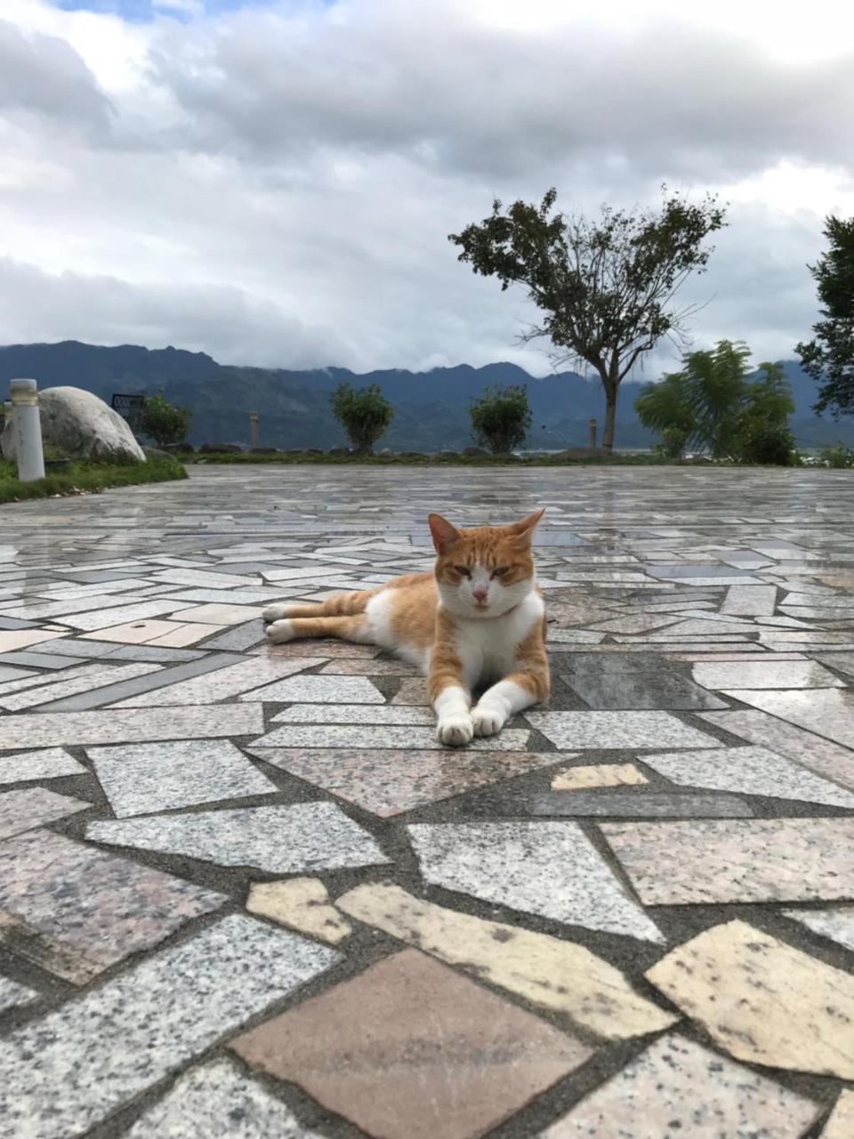 Yuli Sun Homestay Εξωτερικό φωτογραφία